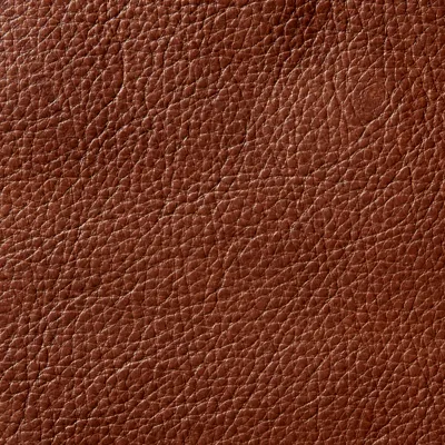 Cognac leather swatch
